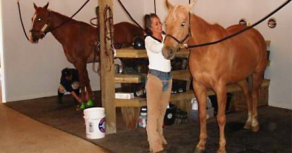 Post frame horse barn interior with 2 horse and handler.