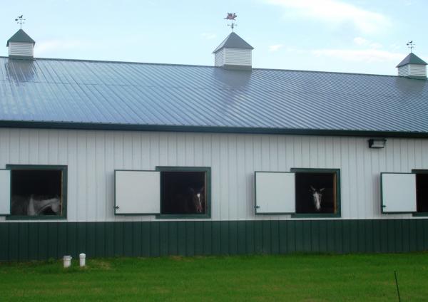Tips for Building Horse Stalls and Barn Storage